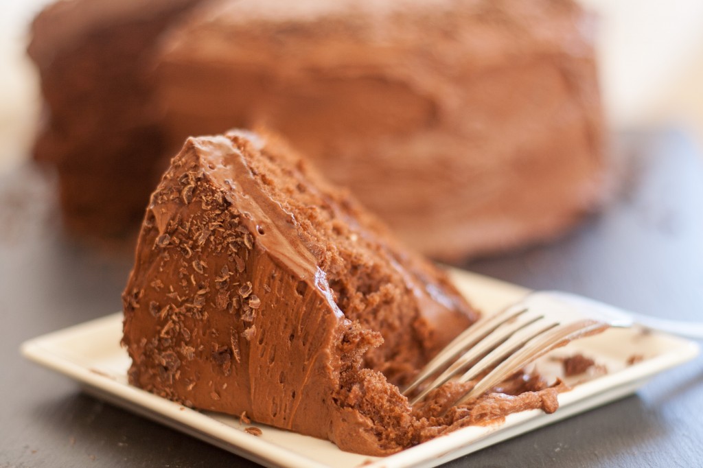 Bite of Chocolate Cake