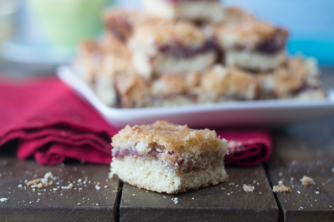 A piece of Raspberry Coconut Squares