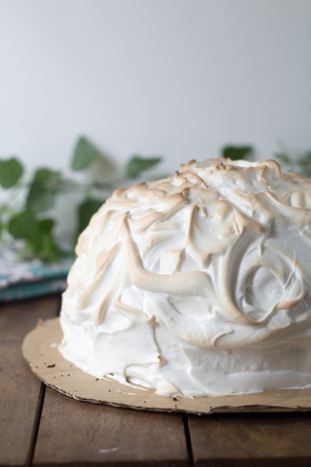 Baked Alaska