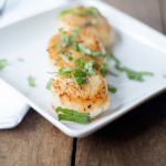 Scallops on a plate
