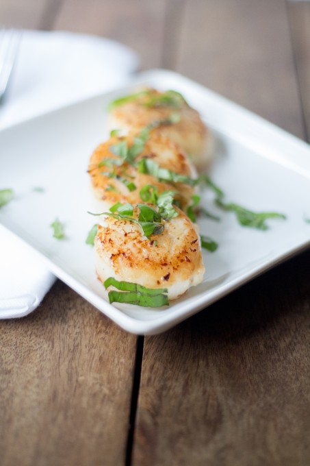 Scallops on a plate