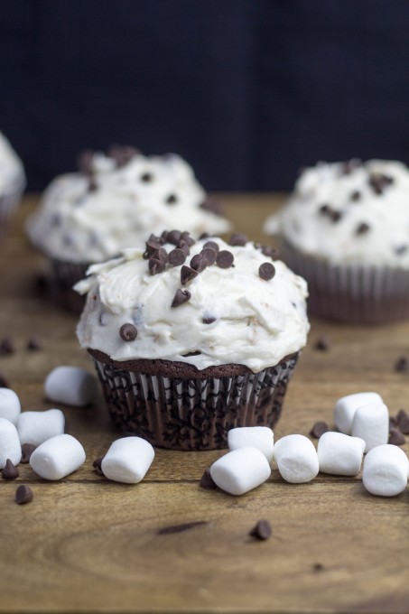 Smores Frosting and Chocolate Cupcakes