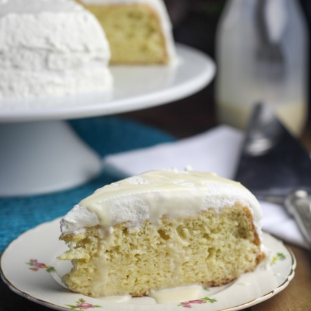 A Slice of Tres Leches Cake